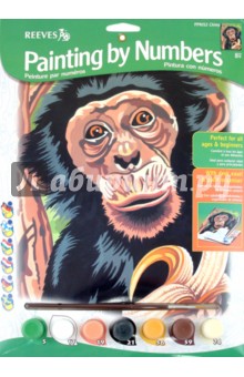 Набор для раскрашивания Шимпанзе (PPNJ52)