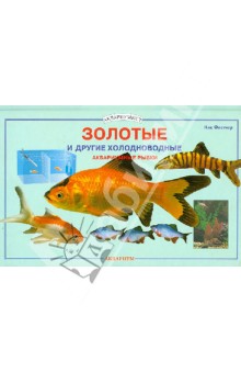 Золотые и другие холодноводные аквариумные рыбки