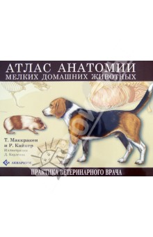 Атлас анатомии мелких домашних животных