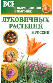 Все о выращивании и выгонке луковичных растений в России