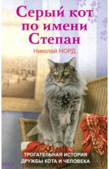 Серый кот по имени Степан. Трогательная история дружбы кота и человека