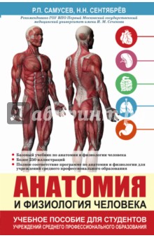 Анатомия и физиология человека. Учебное пособие