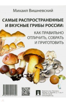 Самые распространенные и вкусные грибы России. Как правильно отличить, собрать и приготовить