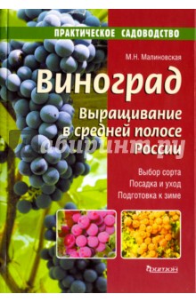 Виноград.Выращивание в средней полосе России