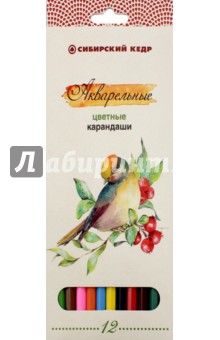 Карандаши цветные, акварельные Птицы Сибири, 12 цветов (СК083/12)