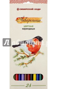 Карандаши цветные, акварельные Птицы Сибири, 24 цвета (СК083/24)