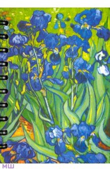 Скетчбук "Ван Гог. Ирисы" (А6, 100 листов, пружина) (01726)