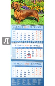 Календарь квартальный на 2018 год Год собаки. Такса среди цветов (14805)