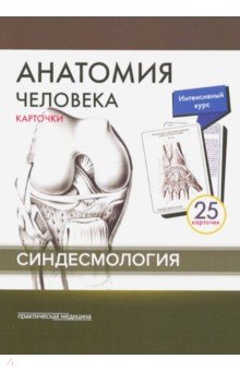 Анатомия человека. Синдесмология (25 карточек)