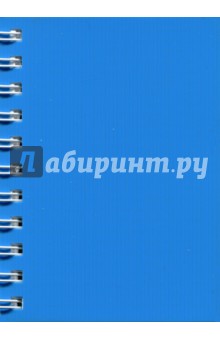 Записная книжка "Notebook" 120 листов, А6, пластиковая обложка, голубая (45048)