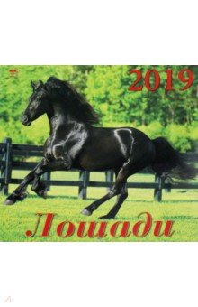 Календарь 2019 Лошади (70903)
