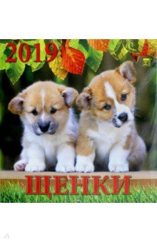 Календарь 2019 Щенки (70906)