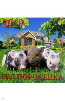 Календарь настенный на 2019 год Год поросенка (70922)