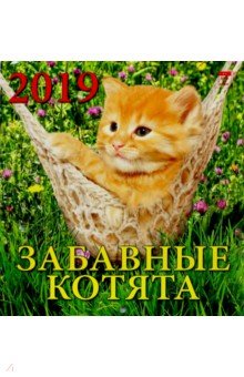 Календарь 2019 Забавные котята (30905)