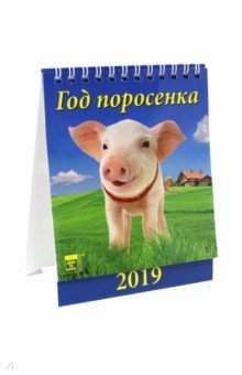Календарь настольный на 2019 год Год поросенка (10901)