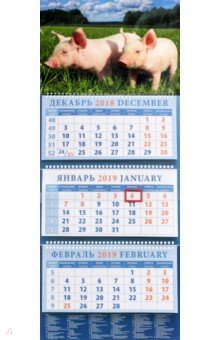 Календарь квартальный на 2019 год  Год поросенка. На лугу (14916)