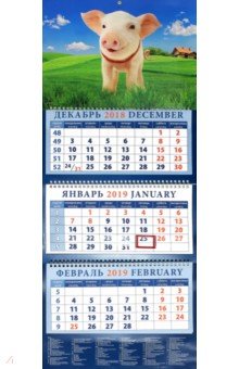 Календарь 2019 Год поросенка. Хорошее настроение (14921)