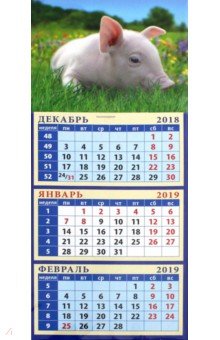 Календарь 2019 Год поросенка. На лугу (34911)