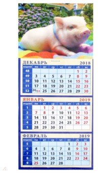 Календарь 2019 Год поросенка. В саду (34915)