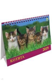 Календарь на 2019 год Котята (19909)