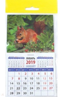 Календарь 2019 Белка с орехом (20917)