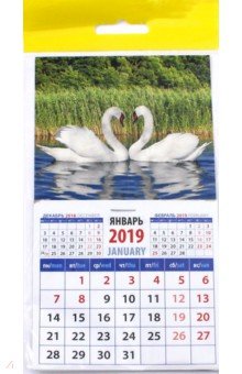 Календарь 2019 Лебединая пара (20918)