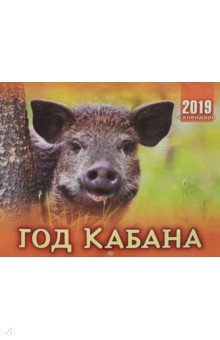 Календарь перекидной на 2019 год Год кабана (К-005)
