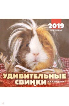 2019 год. Календарь перекидной Удивительные свинки (К-020)