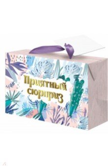 Пакет-коробка "Приятный сюрприз" (22,5x13,5x20 см) (79676)