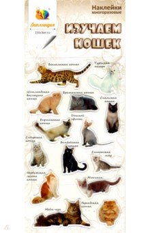 Набор леденцовых наклеек "Изучаем кошек"