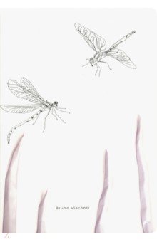 Тетрадь "Dragonfly" (40 листов, клетка) (7-40-001/04)
