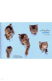 Альбом для рисования "Милые котята" (40 листов, А4, гребень) (АСКЛ401939)