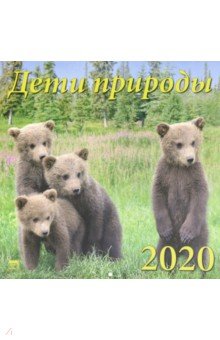Календарь 2020 Дети природы (70023)