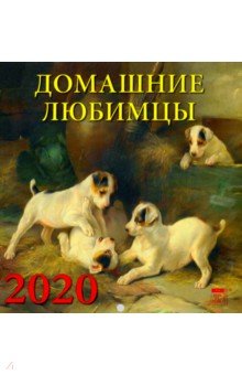 Календарь 2020 Домашние любимцы (30012)