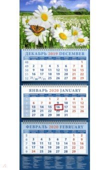 Календарь 2020 квартальный Пейзаж с ромашками и бабочкой (14044)