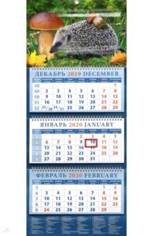 Календарь 2020 квартальный Ежик с грибом (14058)