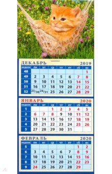 Календарь 2020 Котенок в гамаке (34023)