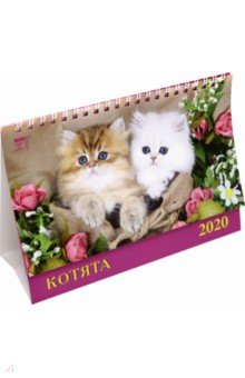 Календарь настольный 2020 год Котята (19009)