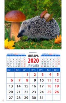 Календарь 2020 Ежик с грибом (20019)