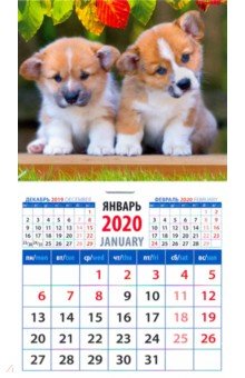 Календарь 2020 Забавные щенки корги