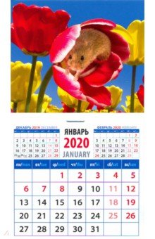 Календарь 2020 Символ года. Среди тюльпанов (20024)