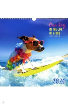 Календарь настенный на 2020 год Домашние любимцы. Каникулы (КПКС2006)