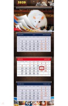2020г. Календарь квартальный, 3-х блочный, Супер Люкс, Знак года (3Кв4гр2ц_20819)