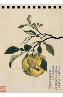 Блокнот "Желтый плод" (28 листов, 115х165 мм, нелинованный, спираль)