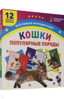 Самые популярные породы кошек: 12 карточек с изображением. ФГОС. ФГОС ДО