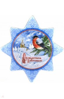 Магнит на картоне 90х95 мм Рождество Христово /Снегирь