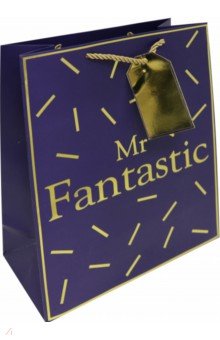Пакет бумажный "Mr.Fantastic" (26х32.4х12.7 см) (81227)