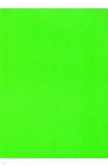 Тетрадь общая "Зеленый неон" (80 листов, А4-, клетка) (ТКИКН4804519)