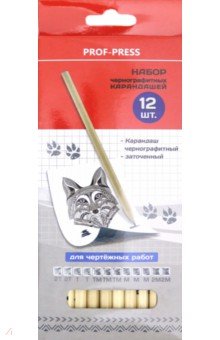 Набор чернографитных карандашей (12 штук) (КЧ-4872)