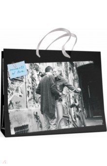 Пакет подарочный горизонтальный "Романтичные пары" (32х26 см) (2-319/4)